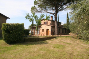 Colombina Siena